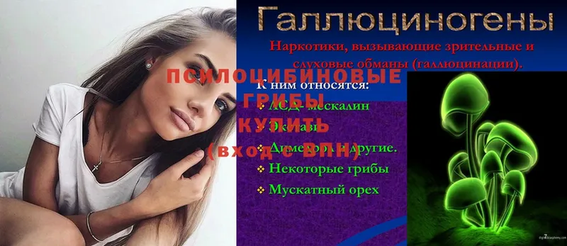 Галлюциногенные грибы прущие грибы  Вуктыл 